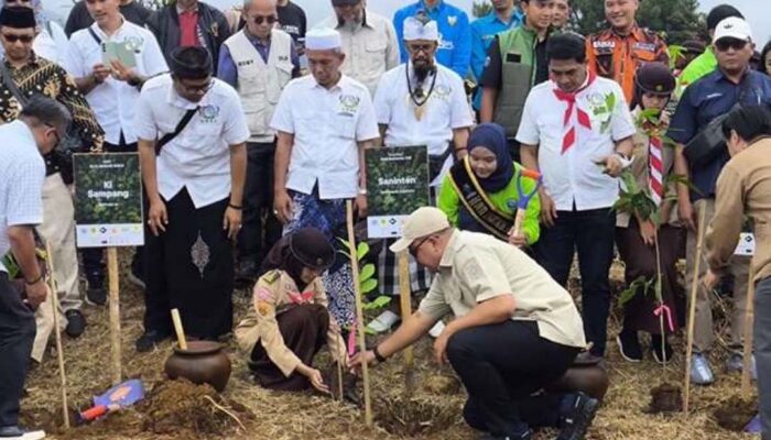Bupati Rudy dan KLHK Bersinergi Hijaukan Bogor Selatan Lewat Penanaman Pohon